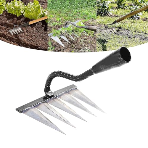 HASTHIP Heavy Duty Gardening Rake for Weed Removal, 5 Tines Gardening Rake for Grass Clippings, Weeding, Soil Preparation, Gardening Tools for Home Garden(Without Handle) HASTHIP Heavy Duty Gardening Rake for Weed Removal, 5 Tines Gardening Rake for Grass Clippings, Weeding, Soil Preparation, Gardening Tools for Home Garden(Without Handle)
